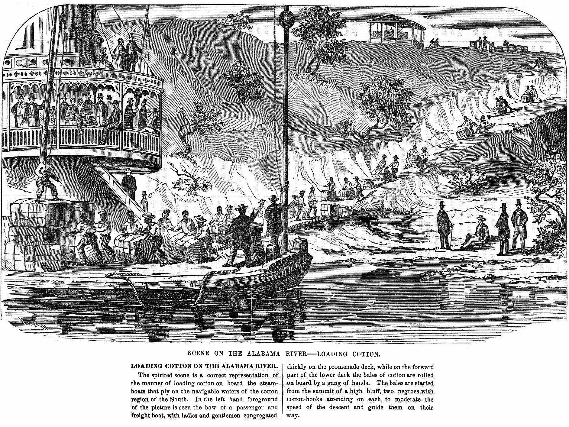 1865 illustration of loading cotton on steamboats