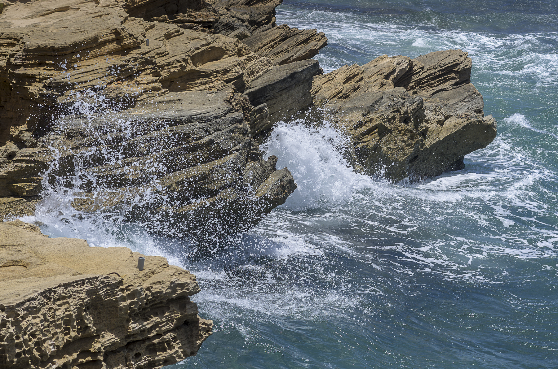 Hawaii-FamilyReunion-2012_061