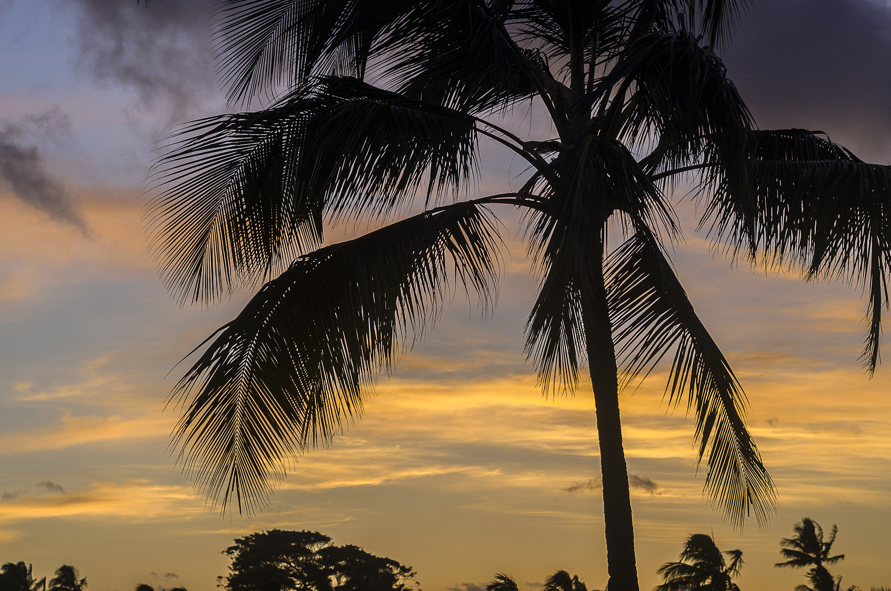 Hawaii-FamilyReunion-2012_076