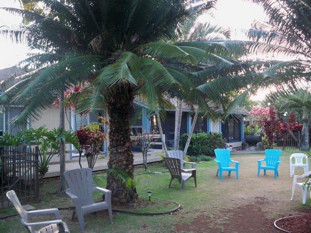 Picture 003