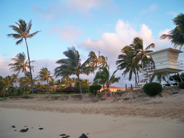 Picture 006