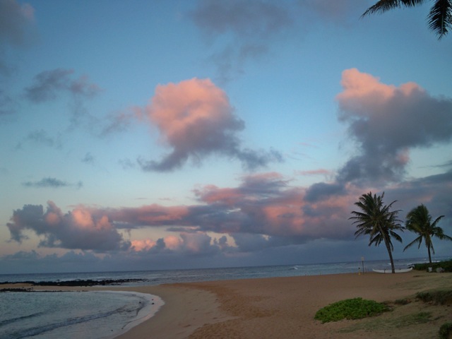 Picture 007