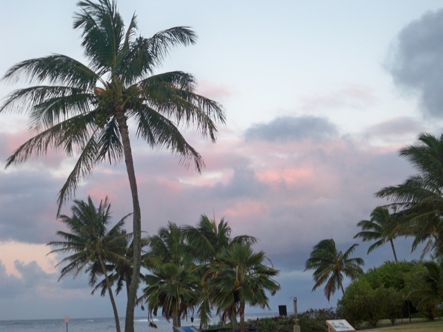 Picture 008