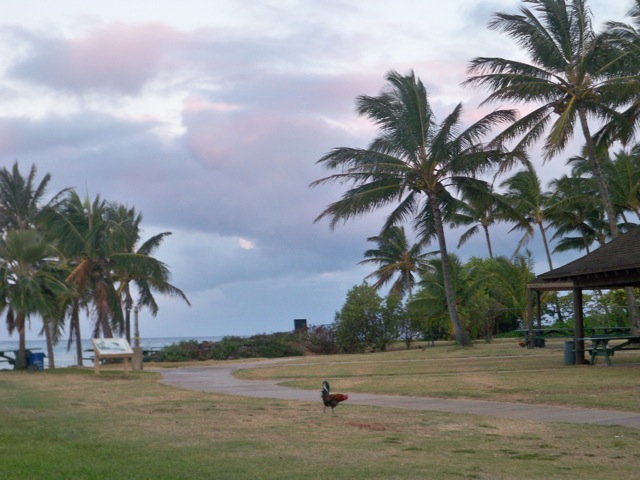 Picture 009