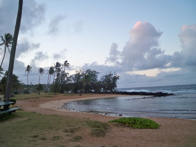 Picture 010