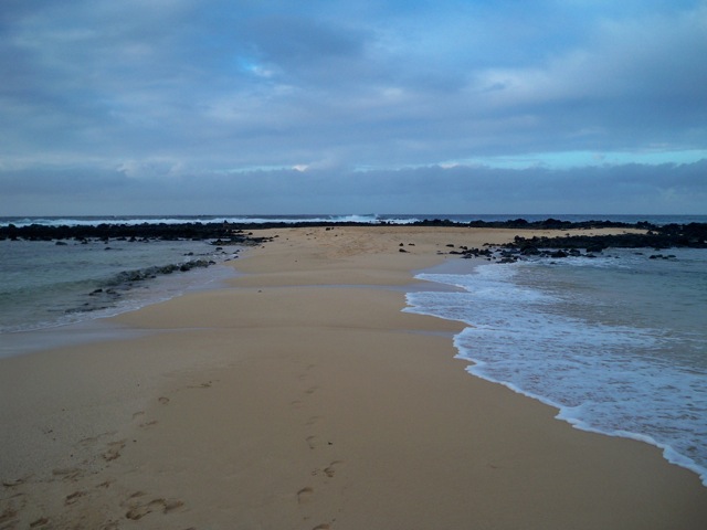 Picture 011