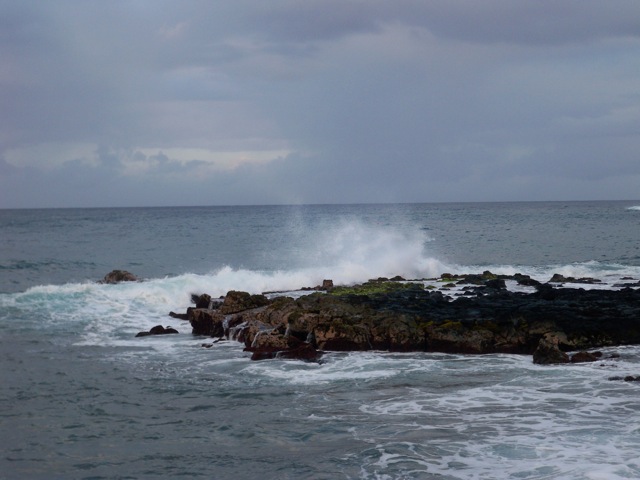 Picture 012