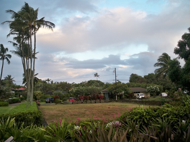 Picture 015
