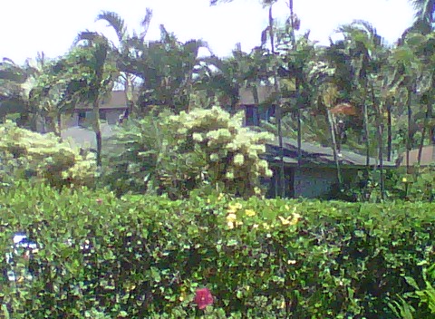 imagejpeg_2 (2)
