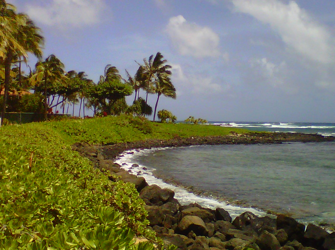 imagejpeg_2 (4)