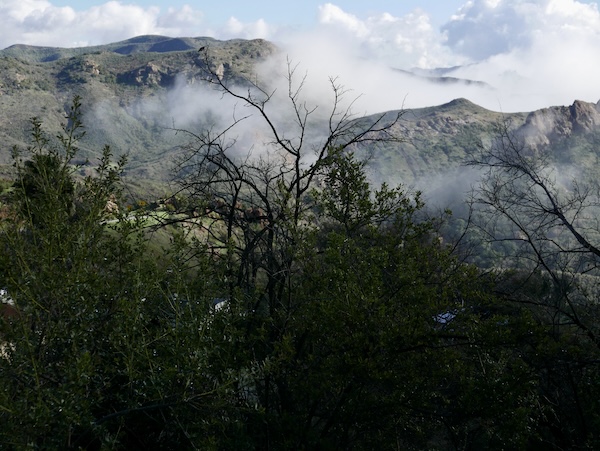 mountains