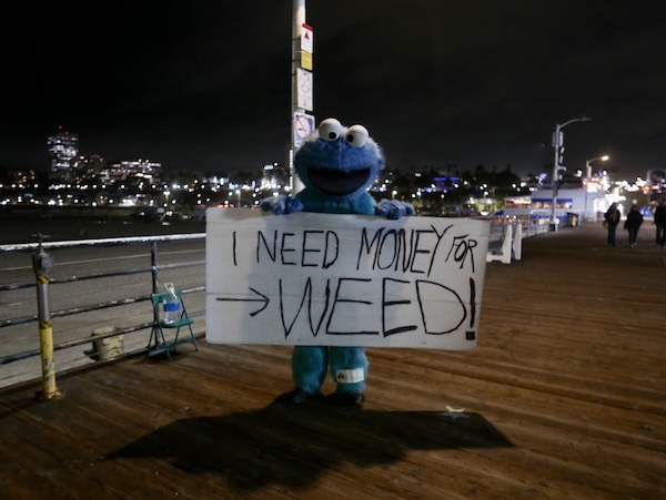 pier-weed
